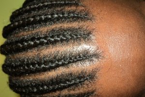 252852_10150201482936627_2129491_n