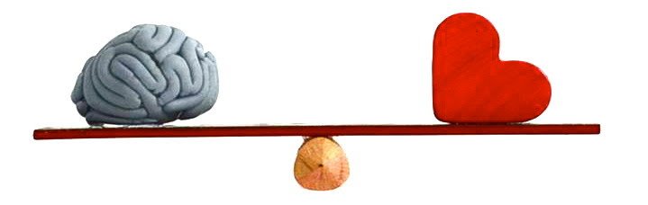 2772557f655dc9ace3eb5dee8c411edd.719x228x1